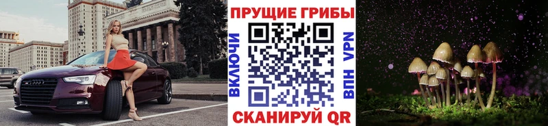 Галлюциногенные грибы мицелий  даркнет сайт  Гуково 